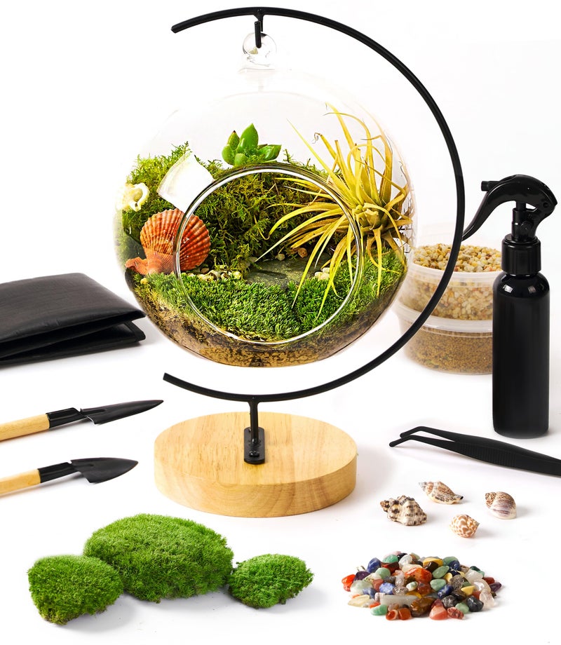 LUCKYRUNES 15-Piece Terrarium Kit with Live Moss - DIY Glass Globe Set with Tools  Soil  Stones & Spray Bottle - Indoor Mini Garden Gift for Plant Lovers  Home Decor & Zen Craft - Image 1